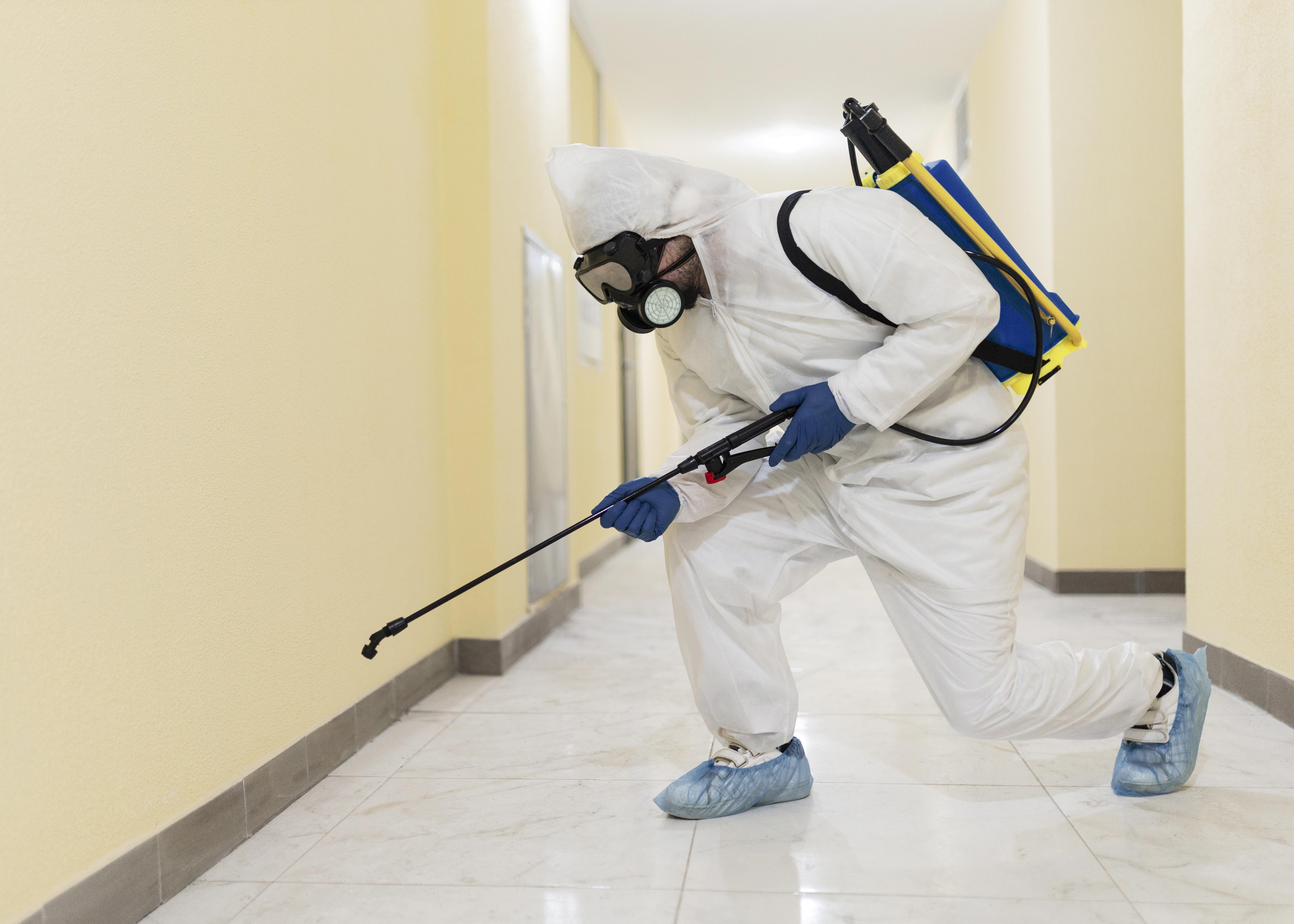 Pest Control Services Sydney