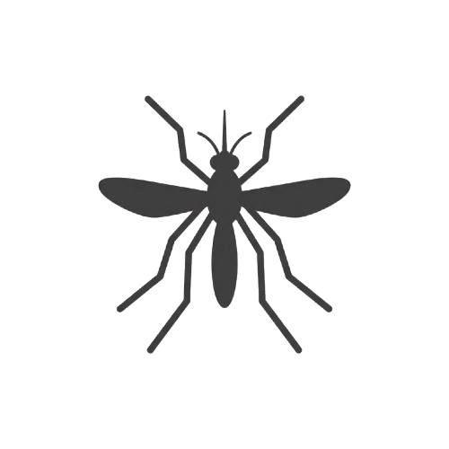 Mosquito Control Sydney