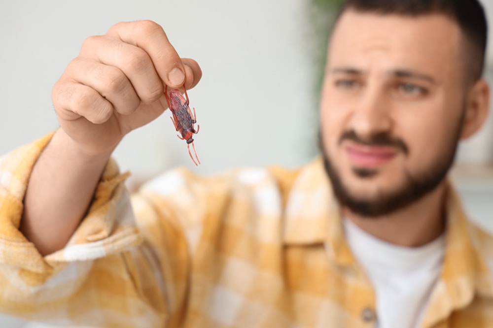 Expert Tips for Preventing Cockroach Infestations at Home in Sydney