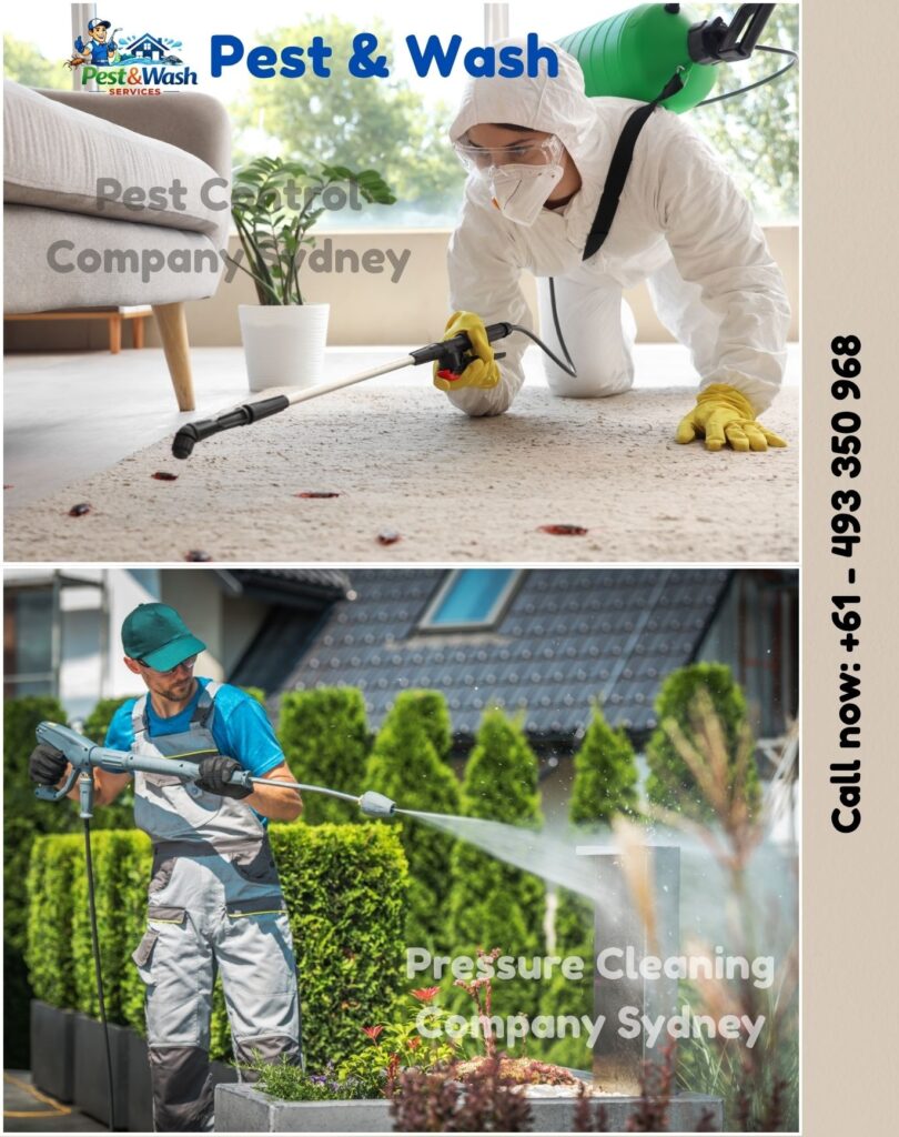 Pest Control Company Sydney