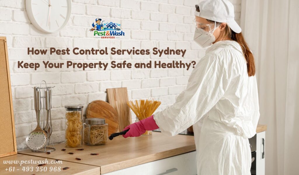 How Pest Control Services Sydney Keep Your Property Safe and Healthy?
